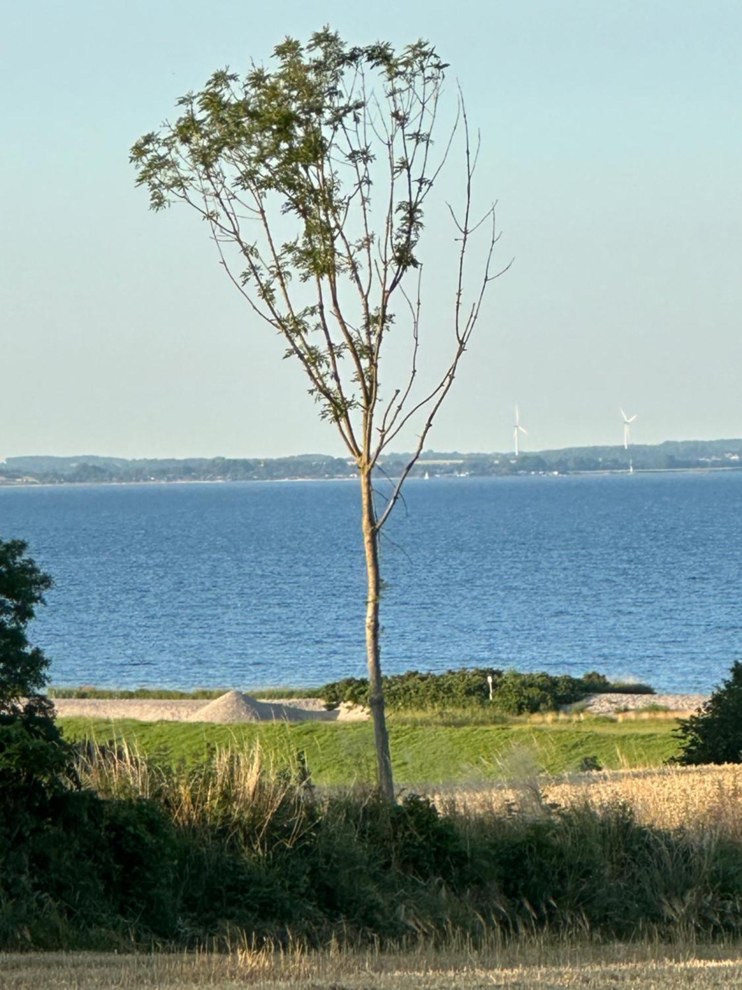 Foerdefarm Natura Westerholz Exterior foto